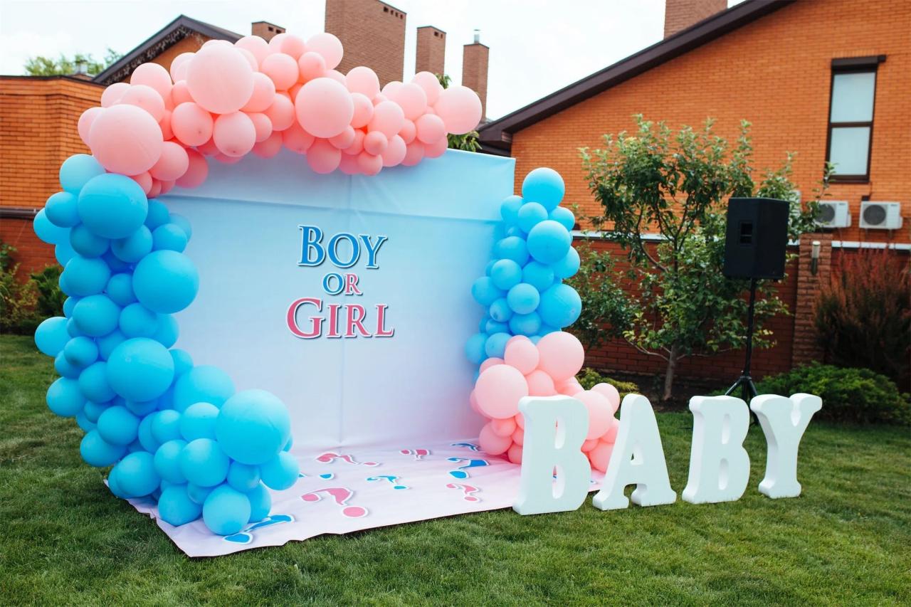 Gender reveal outdoor decor