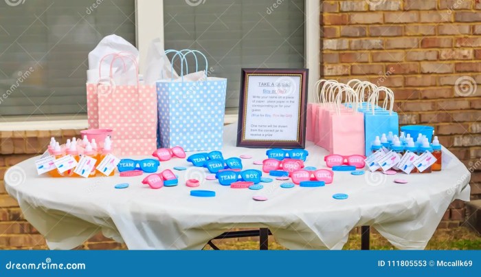 Gender reveal outdoor decor